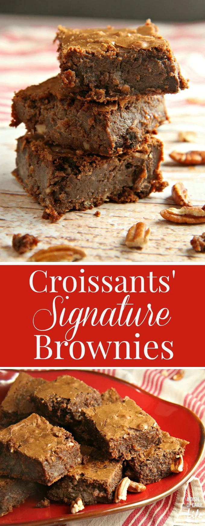 MOUTHWATERING GOOD! This is the only brownie recipe you will ever need! Rich chocolately goodness with pecans, coconut, and chocolate chips...INCREDIBLE!