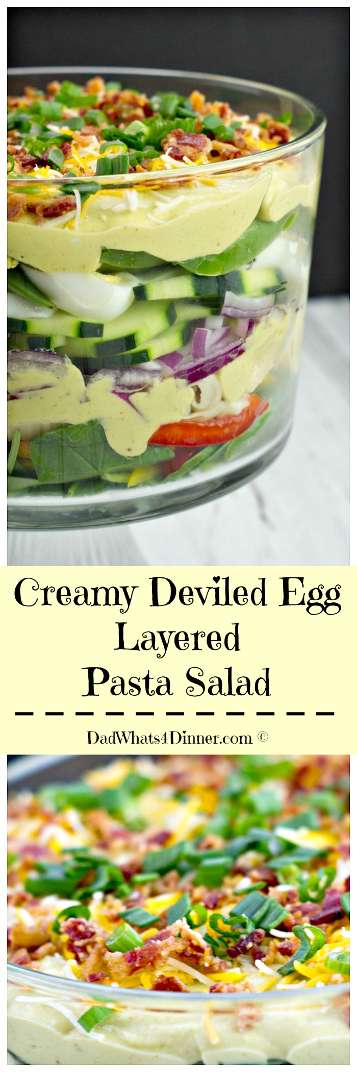 This delicious Creamy Deviled Egg Layered Pasta Salad recipe combines deviled eggs and pasta salad in a dish that is perfect for Easter, Mother's Day, or any potluck get together. The dressing is creamy, egg-y and bold...I think it is the best dressing I have ever made! This is sure to be one of the most popular side dishes at your next get together or holiday dinner!