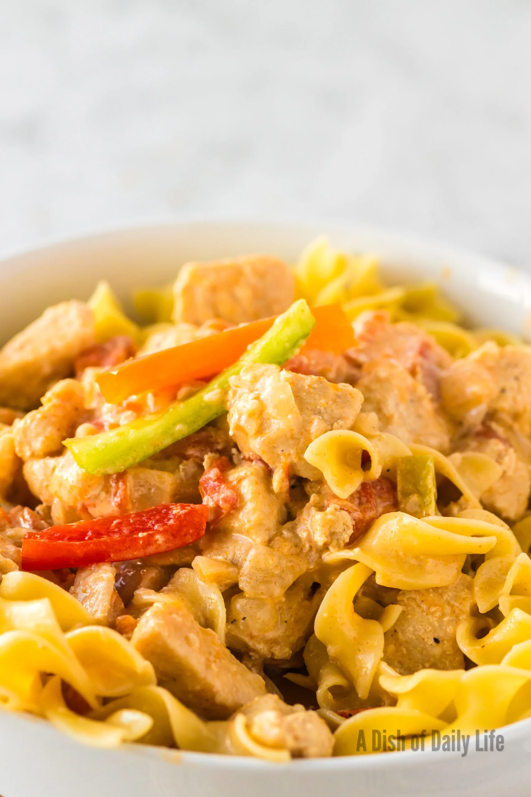 zoomed in image of chicken paprika with vegetables and noodles.