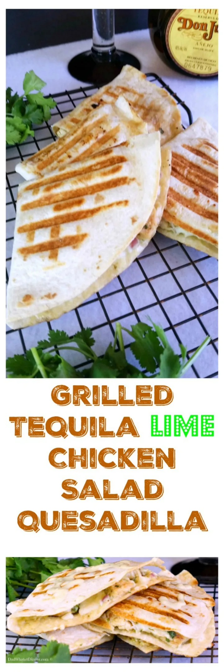 Grilled Tequila Lime Chicken Salad Quesadilla is a fresh south of the border twist on same old chicken salad. Perfect for Cinco de Mayo!