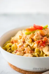 side view of chicken paprika in bowl ready to serve with noodles.
