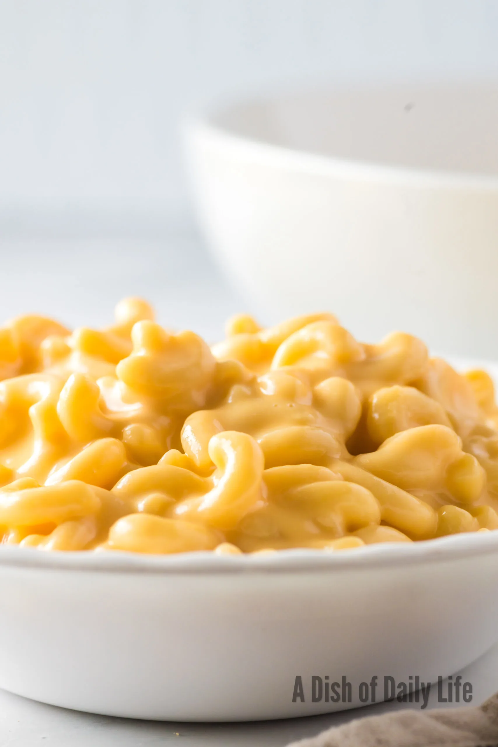 side view of cheesy macaroni