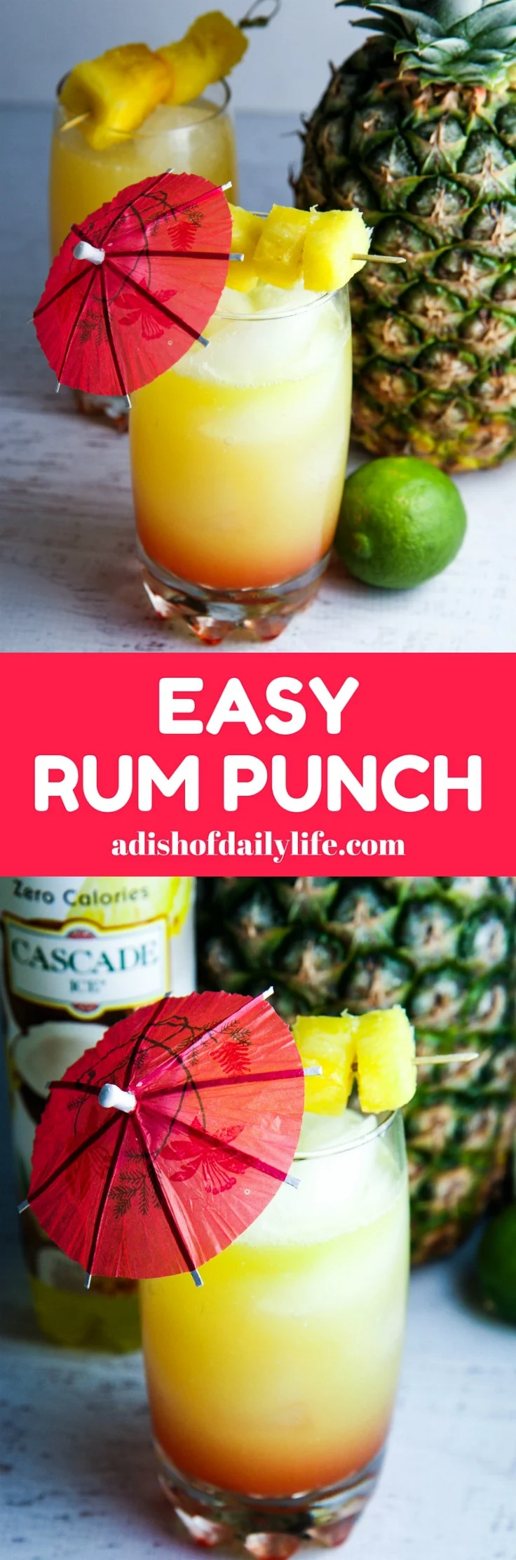 🍹😎 Kick Off Summer with a (Rum) Punch - Recipe inside - The Duppy Share