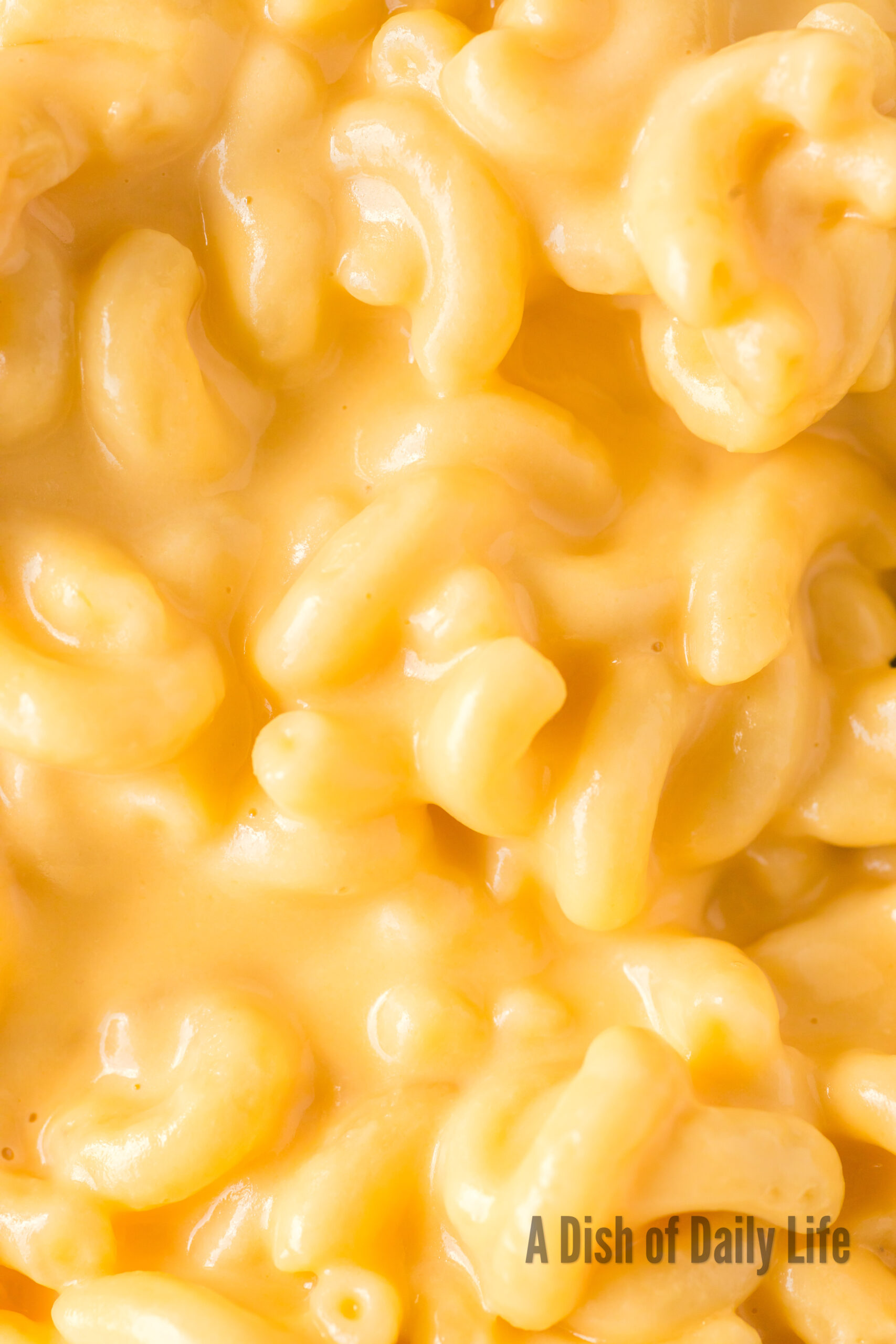 ultra zoom of macaroni in bowl