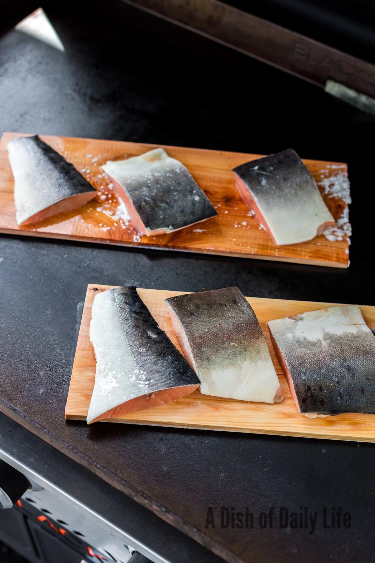 salmon flesh side down on cedar planks, on grill.