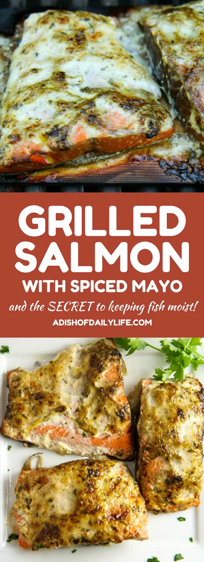 This Grilled Salmon with Spiced Mayo is an easy dinner recipe (5 ingredients, just over 20 minutes)...great for busy weeknights and perfect for company as well! Plus I'm sharing the secret to keeping your fish moist! 