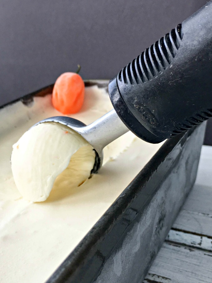 This White Chocolate Habanero No-Churn Ice Cream recipe will cool you down then heat you up. A fabulous mixture of sweet heat!