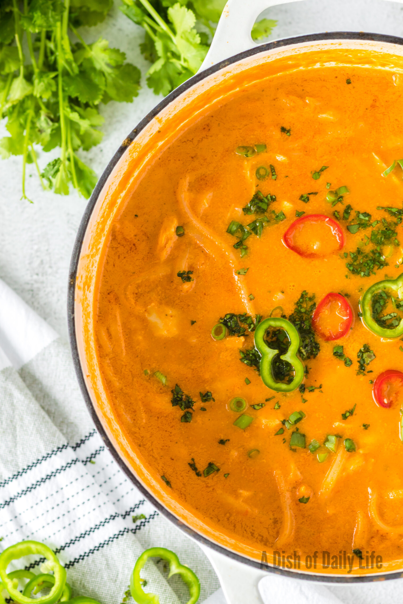 soup in pot and ready to serve