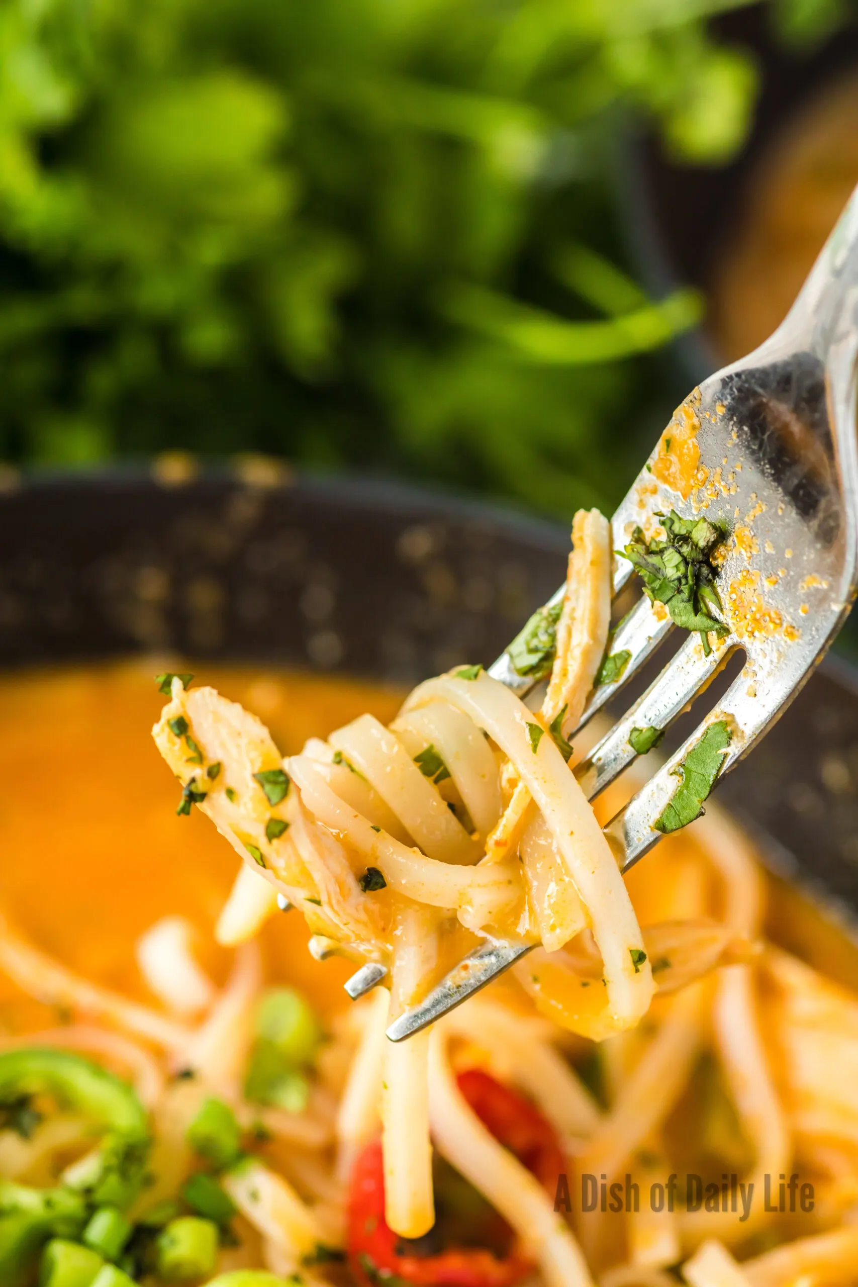 Noodle Soup in a bowl with a fork lifting some noodles out