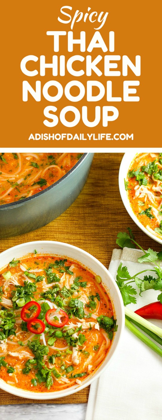 Skip the takeout! This delicious Thai Chicken Noodle Soup is easy to make at home with ingredients you can find in your local supermarket. If you love Thai food, you need to try this recipe!