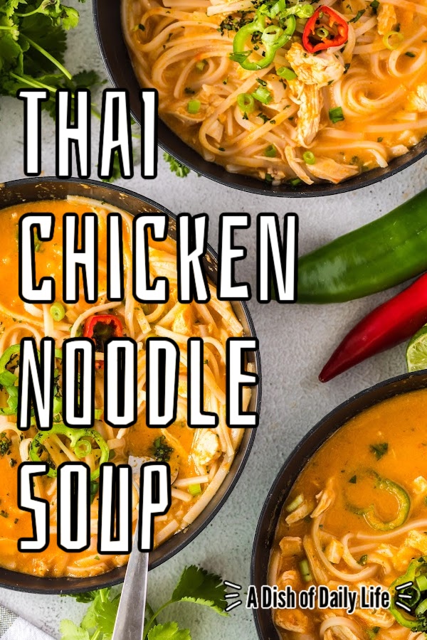 Main image for Thai Chicken Noodle Soup