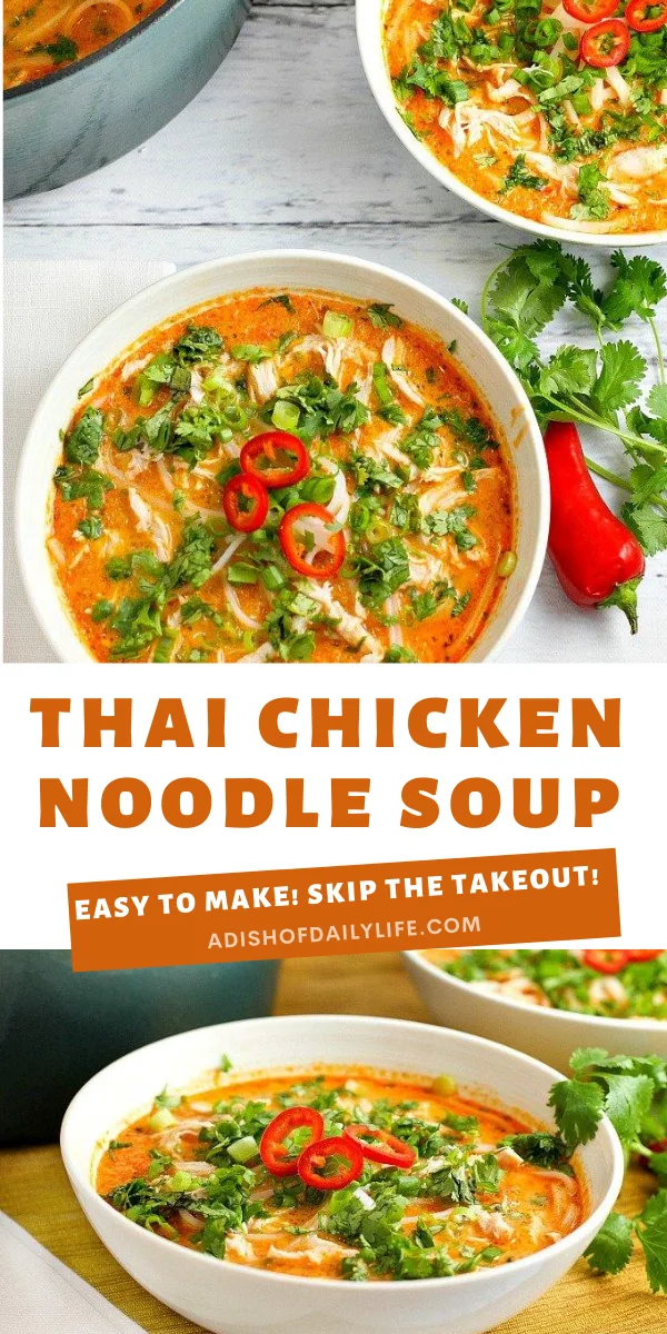 Thai Chicken Noodle Soup - A Dish of Daily Life