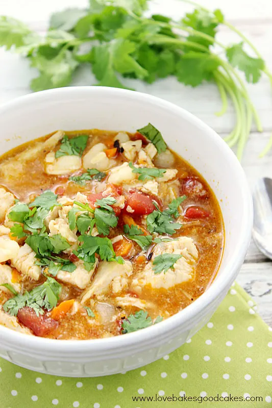 Slow Cooker Chicken Posole | 15 Chicken Soup Recipes that aren't Chicken Noodle