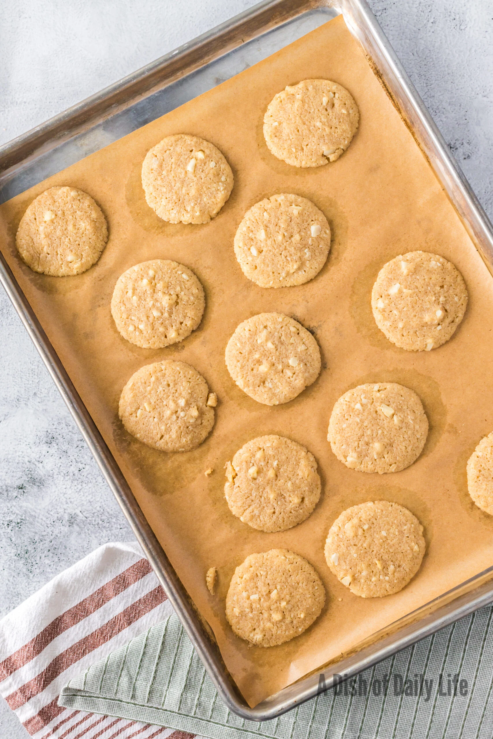 Baked cookies on cookie sheet