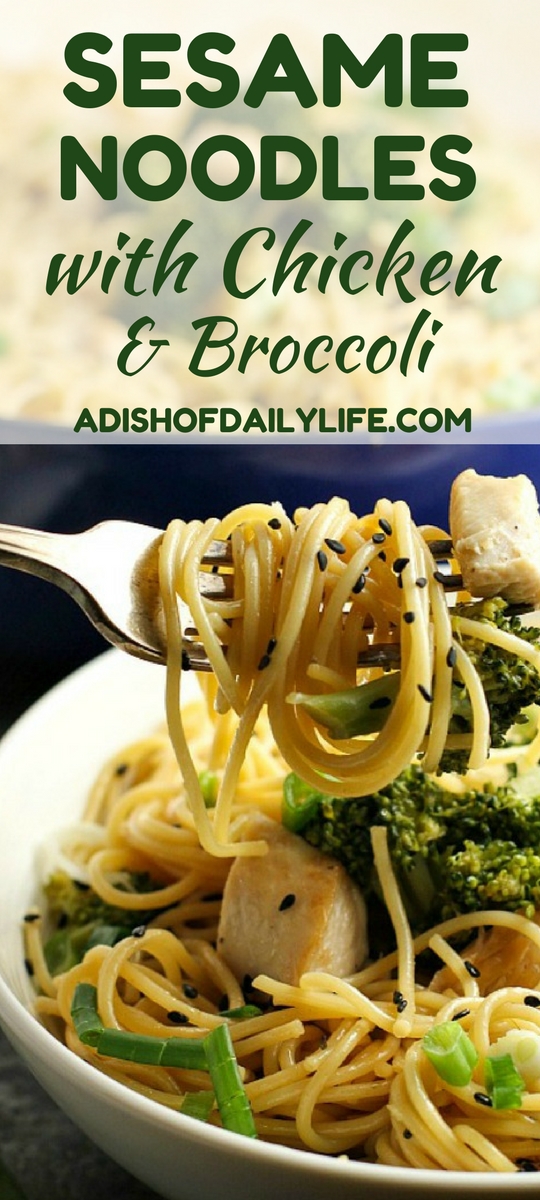 Sesame Noodles with Chicken and Broccoli...an easy and delicious one pot meal that is perfect for a dinner or potlucks!