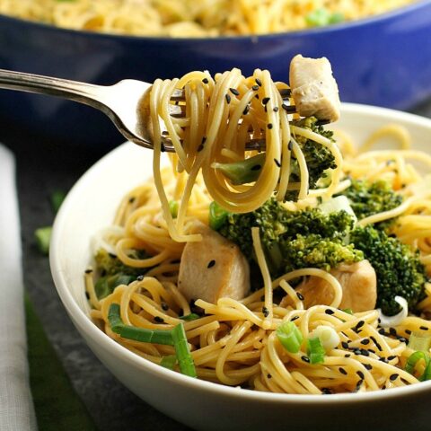 Sesame Noodles with Chicken and Broccoli