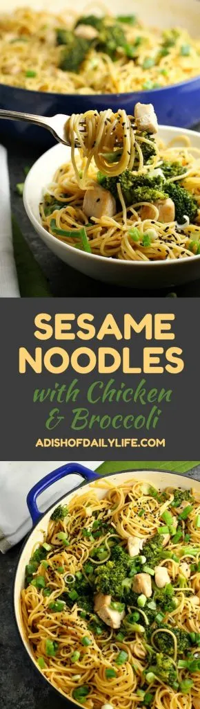 Sesame Noodles with Chicken and Broccoli...an easy and delicious one pot meal that is perfect for a dinner or potlucks! Only 30 min!