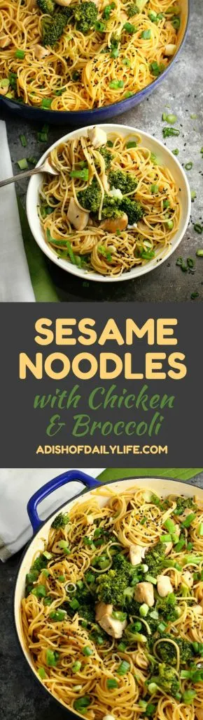Sesame Noodles with Chicken and Broccoli...an easy and delicious one pot meal that is perfect for a dinner or potlucks!