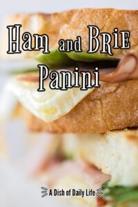 Main image for Ham and Brie Panini