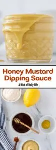 collage of images for Pinterest of honey mustard dipping sauce