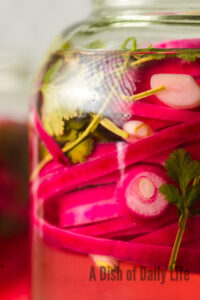 zoomed in side view of pickled red onions in a jar.