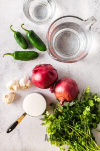 All ingredients laid out on the counter ready to assemble.