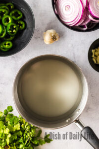 water, vinegar and sugar added to a pan, uncooked.