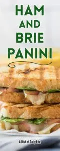 odd sized single image for Pinterest of Ham and Brie Panini