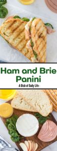 Collage of images for Pinterest of Ham and Brie Panini