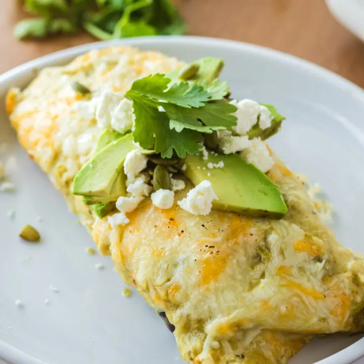 Two enchiladas on plate with toppings of cheese, avocados and cilantro