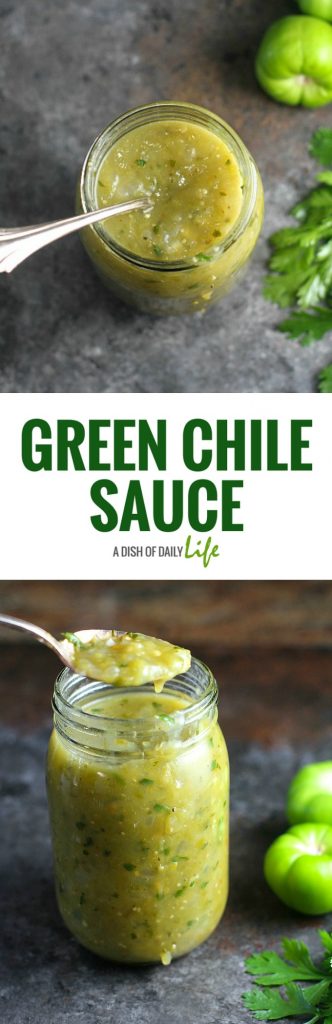 Try this Green Chile Sauce recipe with enchiladas, smothered burritos, green chile stew and other Mexican dishes! Very easy to make, healthy, and tastes much better than the canned stuff! Mexican | Green Chiles | Tomatillos | Green chile enchilada sauce | Sauces | Condiments | Gluten free