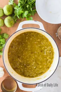 salsa mixture cooked but chunky