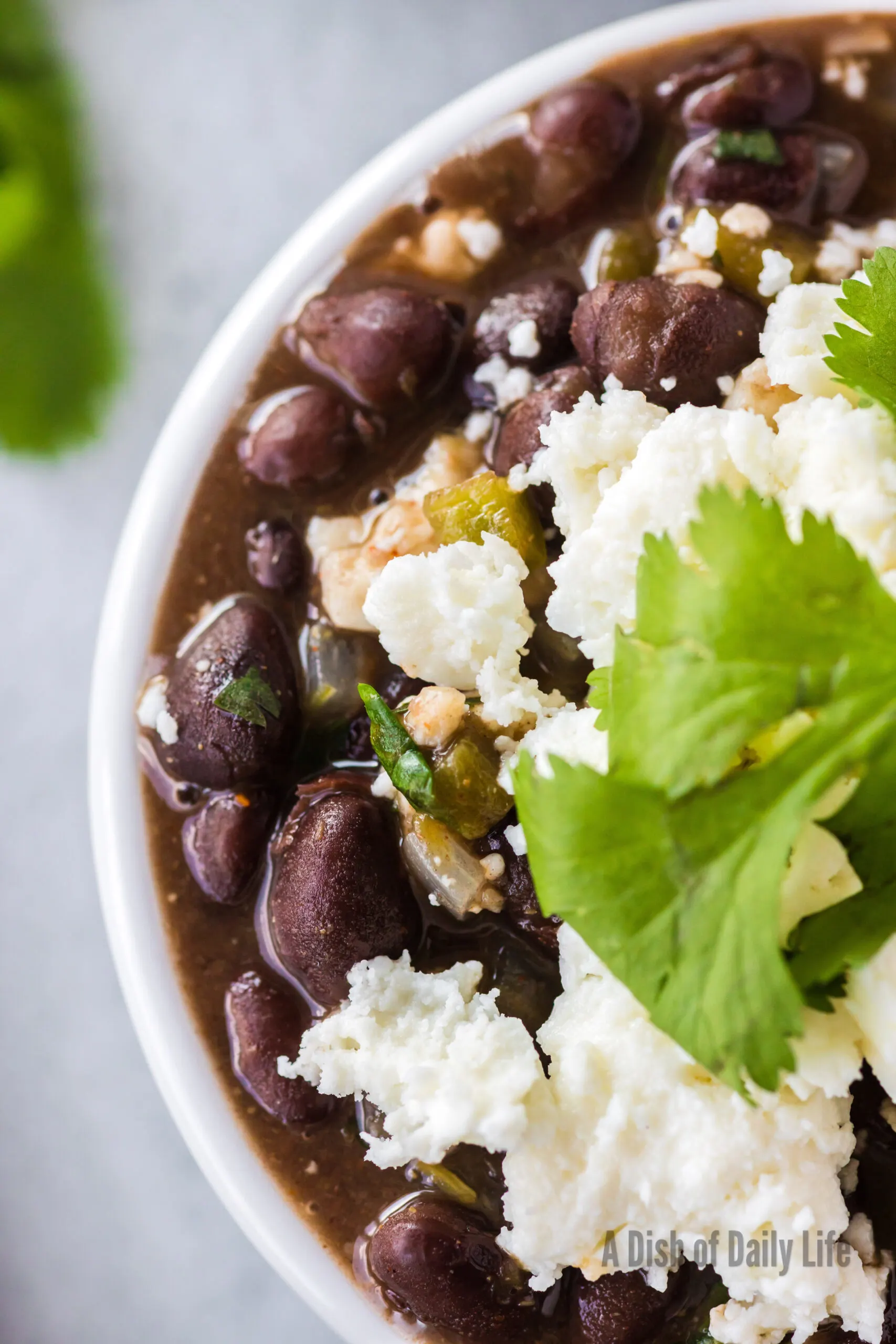 a bowl of mexican black beans with cheese and cilantro on top