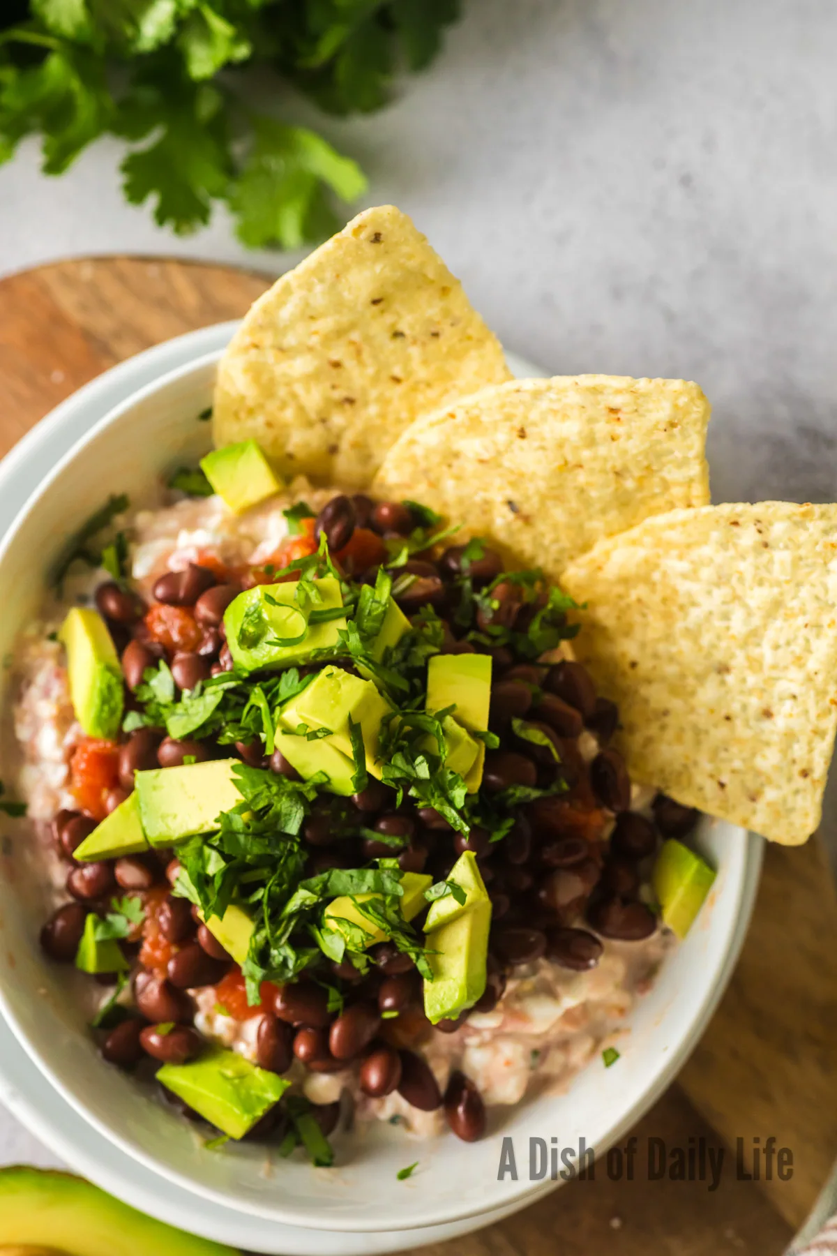 3 tortilla chips stuck into salsa mix to show it's a chip dip