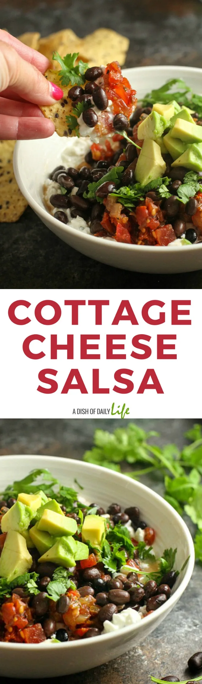 Cottage Cheese Salsa...this easy and delicious protein packed snack is the perfect post workout snack or healthy lunch! Serve it with multigrain chips or crackers, or eat it with a spoon!
