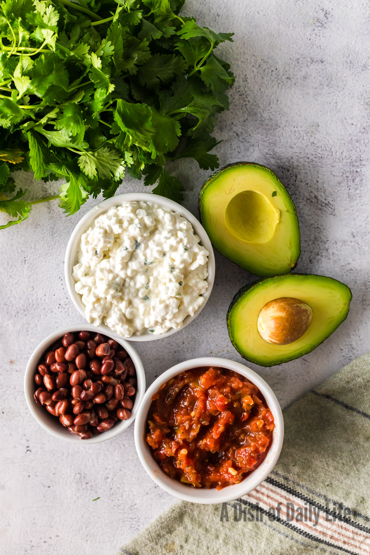 All ingredients for cottage cheese and salsa