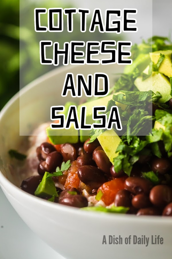 Main image for Cottage Cheese and Salsa Post