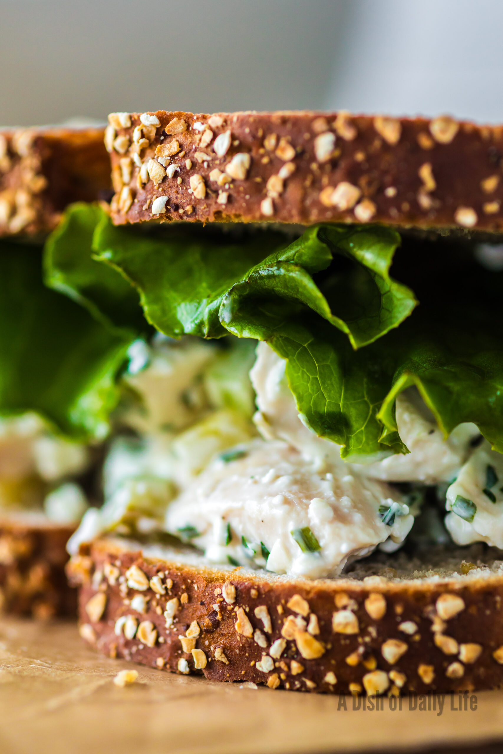 zoomed in image of chicken salad sandwich with lettuce