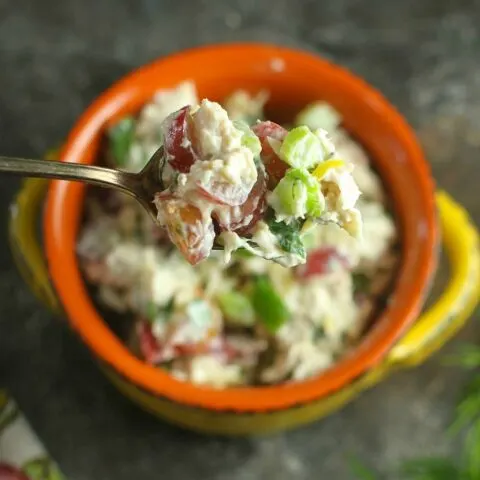 Greek Yogurt Chicken Salad