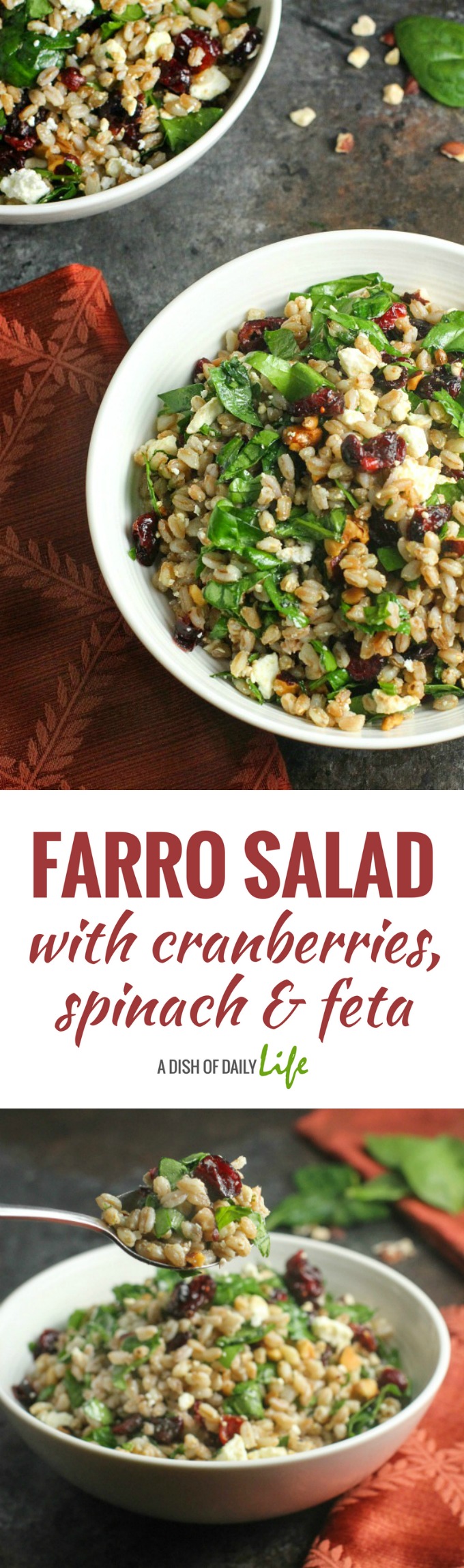 Healthy and delicious, this easy Farro Salad with spinach, cranberries and feta, topped with balsamic dressing, is a wonderful addition to your menu any time of year.  #salad | #farro | #sidedishes