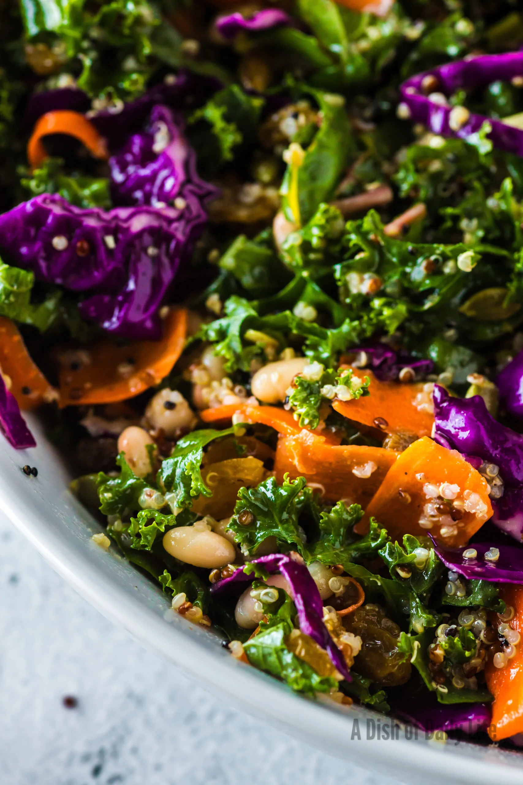 zoomed in image of salad in bowl.