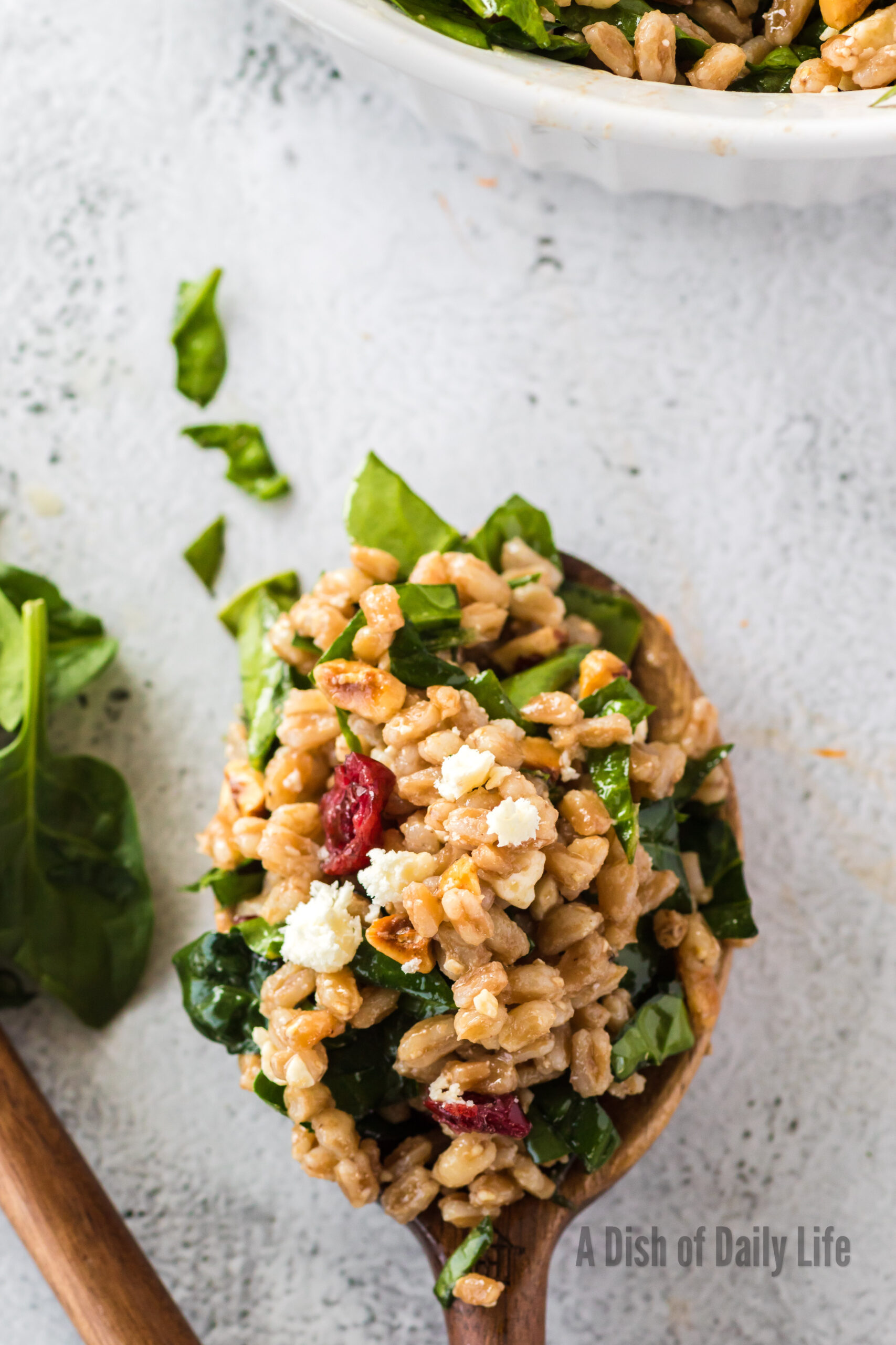 wooden spoon full of farro salad ready to serve