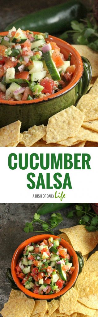 Serve this delicious and easy Cucumber Salsa with chips, as a salad, or top grilled chicken or fish with it! You're going to love how versatile this salsa is!
