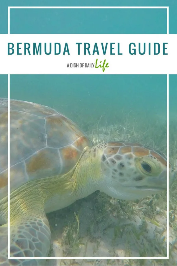 Planning a trip to Bermuda? Our Bermuda Travel Guide gives you a short list of beaches that you won't want to miss! Click through to check out our video to get a closer look at the beaches we visited as well as the rest of our trip!