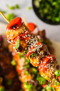 A single chicken kabob held close to the camera lens.