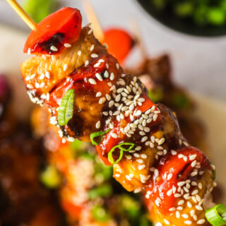 A single chicken kabob held close to the camera lens.