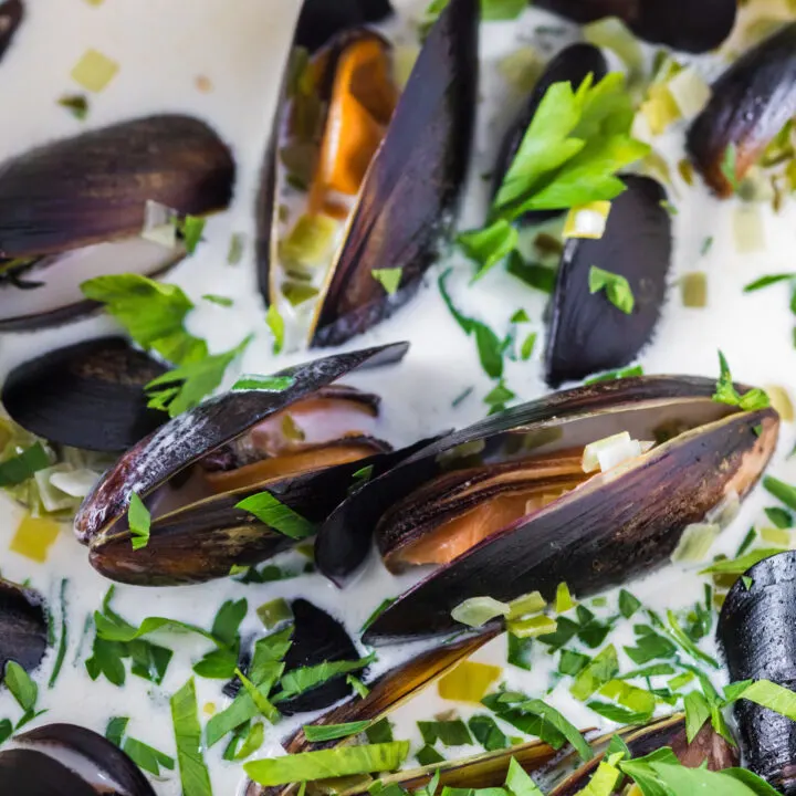 zoomed in image of mussels in cream sauce