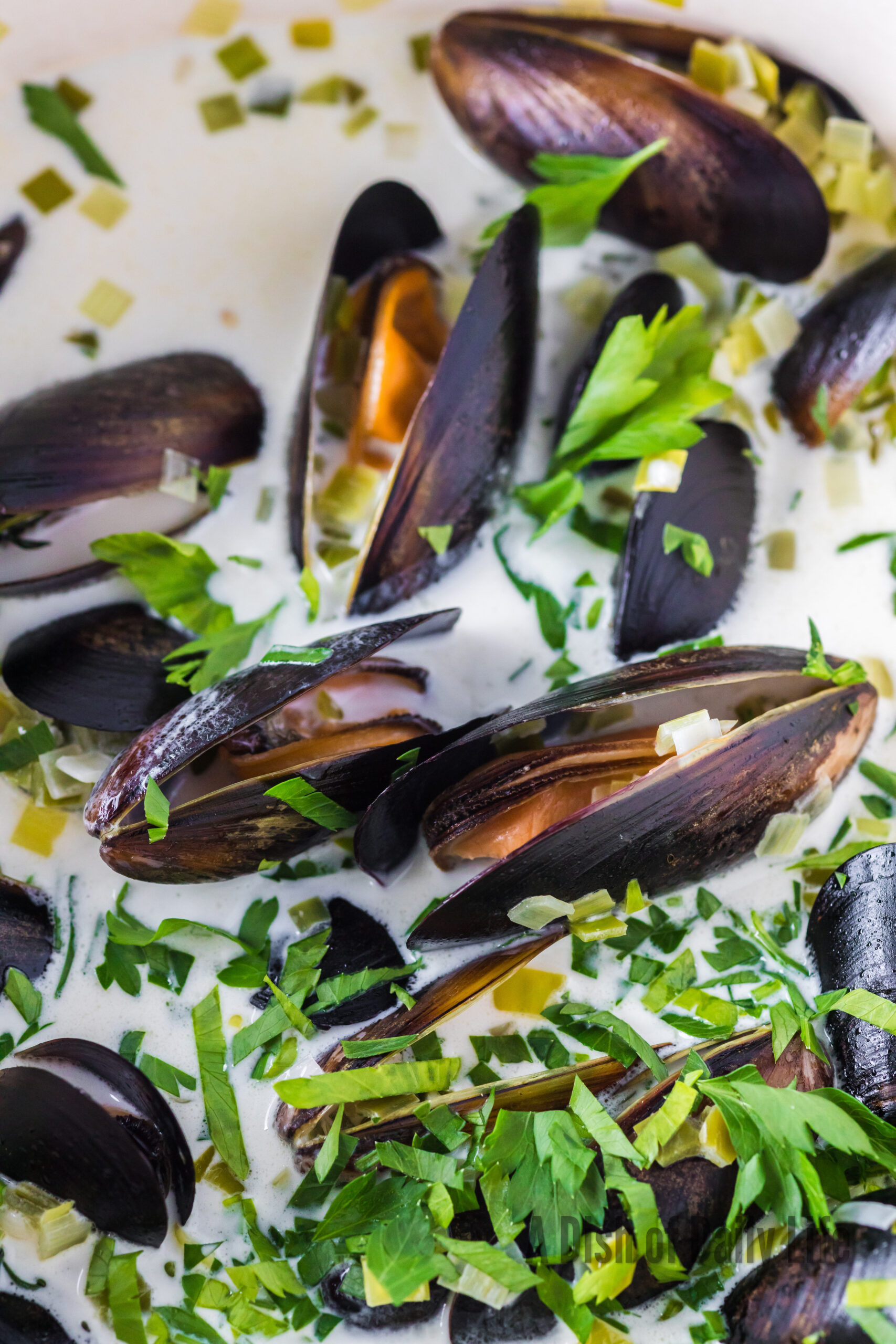 zoomed in image of mussels in cream sauce