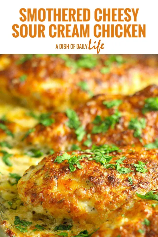 This family friendly Smothered Cheesy Sour Cream Chicken dish is quick, easy, and delicious! There's only ten minutes of prep time and then the oven takes care of the rest! #chicken #familydinners #easydinners #easydinnerrecipes