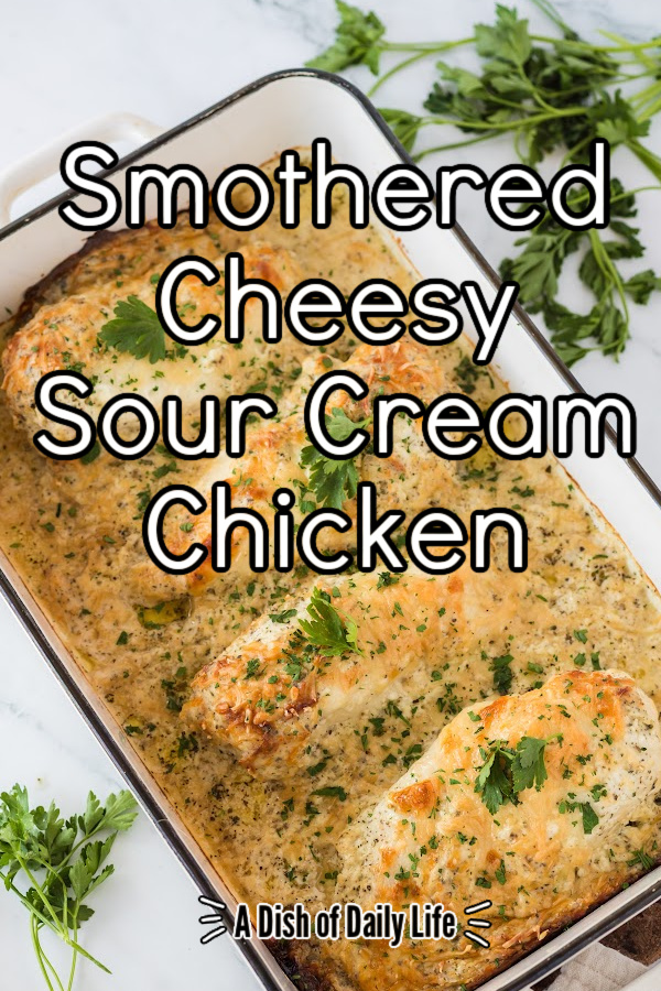 Main image for smothered cheesy sour cream chicken